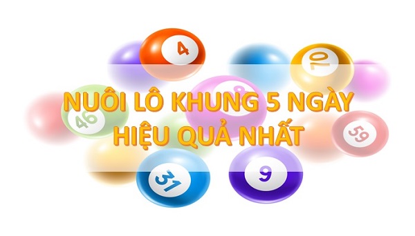 bạch thủ lô khung 5 ngày