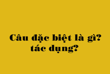 Câu đặc biệt là gì?