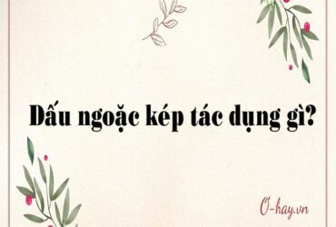 Dấu ngoặc kép là gì? có tác dụng gì?