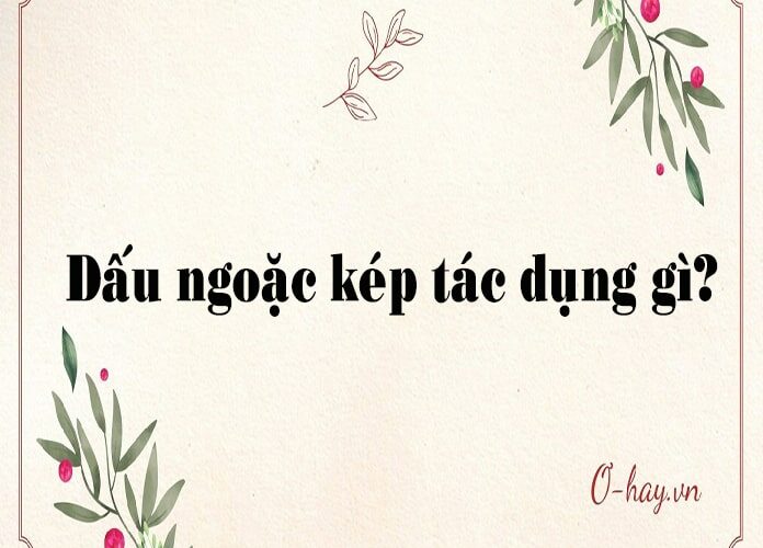 Dấu ngoặc kép là gì? có tác dụng gì?