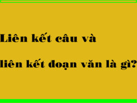 liên kết câu văn đoạn văn?