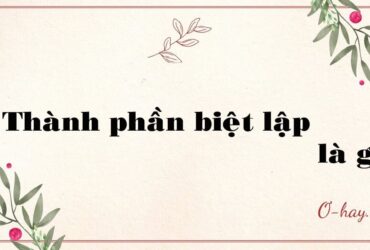 Thành phần biệt lập là gì?