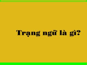 Trạng ngữ là gì?