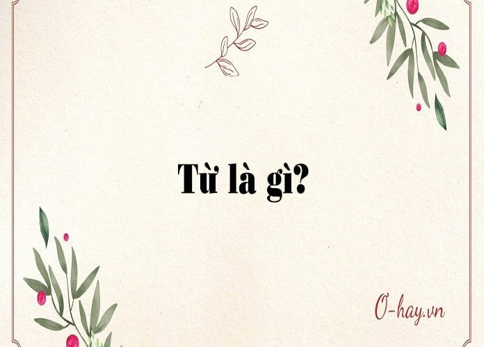 Từ là gì? Đặc điểm của từ