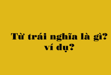 Từ trái nghĩa là gì?