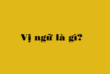 Vị ngữ là gì?