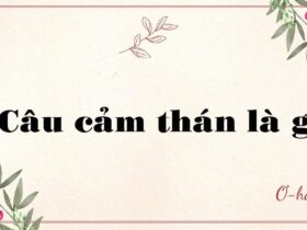 Câu cảm thán là gì?