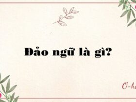 Đảo ngữ là gì?