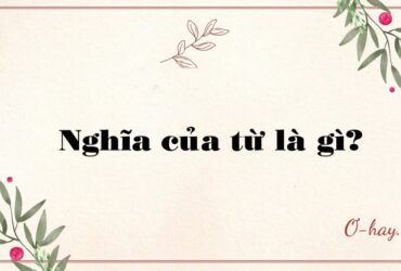 Nghĩa của từ là gì?