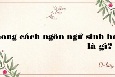 Phong cách ngôn ngữ sinh hoạt là gì?