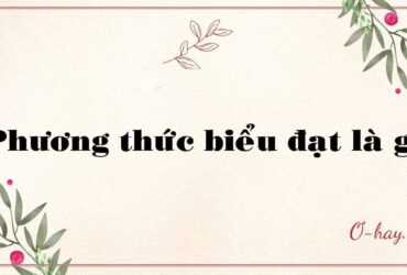 Phương thức biểu đạt là gì? Các loại phương thức biểu đạt