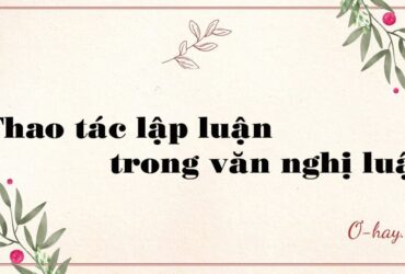 Thao tác lập luận trong văn nghị luận