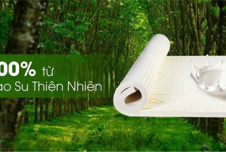 Nệm cao su thiên nhiên là gì